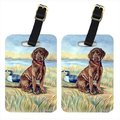 Carolines Treasures Carolines Treasures 7090BT Chocolate Labrador Puppy Luggage Tags; Pack - 2 7090BT